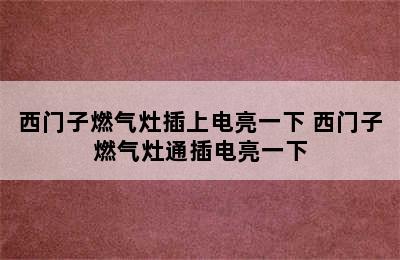 西门子燃气灶插上电亮一下 西门子燃气灶通插电亮一下